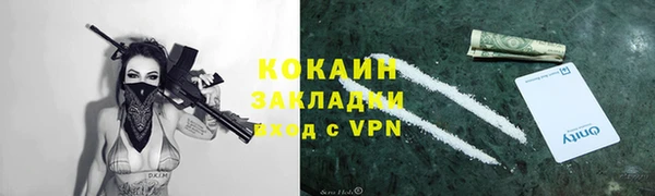 сатива Володарск