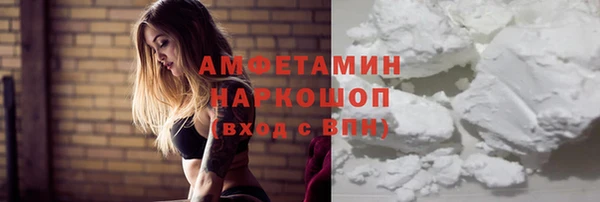 сатива Володарск