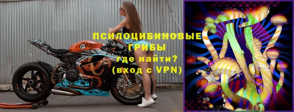 сатива Володарск