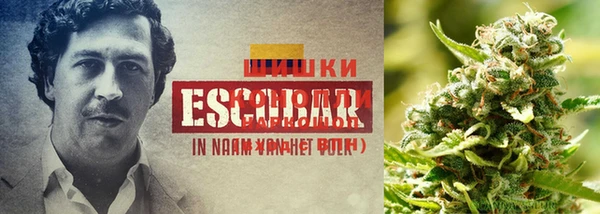 COCAINE Волоколамск