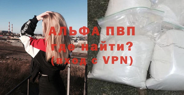 сатива Володарск